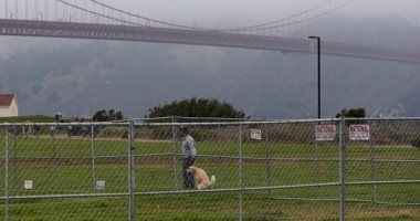 صحيفة بريطانية: أمريكيو كاليفورنيا أفسدوا مسيرة لليمين المتطرف ببراز الكلاب