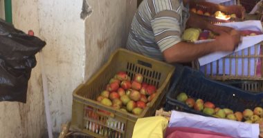 بالصور.. ضبط 75 طن تفاح بلدى غير صالح للاستهلاك الآدمى بالإسكندرية