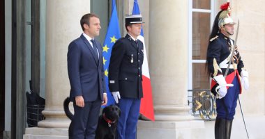 الرئيس الفرنسى يتبنى كلبا ويطلق عليه اسم "نيمو"
