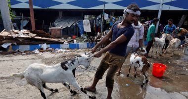 بالصور.. انتعاش تجارة الماعز والمواشى فى الهند وباكستان قبيل عيد الأضحى