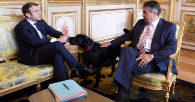 بالصور.. ماكرون يصطحب "كلبه" فى لقاء رسمى مع وزير خارجية ألمانيا