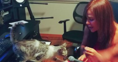كارول سماحة تسجل دويتو جديدًا مع "قطة"