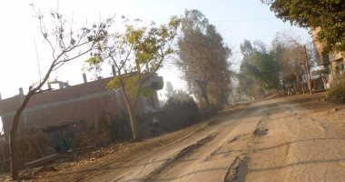 شكوى من عدم صيانة أعمدة الإنارة ورصف شوارع قرية الحمادية بالمنوفية