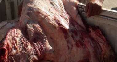 ضبط كميات كبيرة من اللحوم الفاسدة خلال حملة تموينية بأسيوط