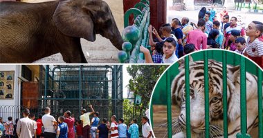 الزراعة: حدائق الحيوان تستقبل 40 ألف زائر فى أول أيام عيد الأضحى