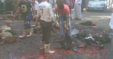 بالصور..مواطنون يذبحون أضاحى العيد فى شوارع ميت عقبة