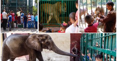 حديقة حيوانات الجيزة تستقبل المواطنين فى أول أيام عيد الأضحى