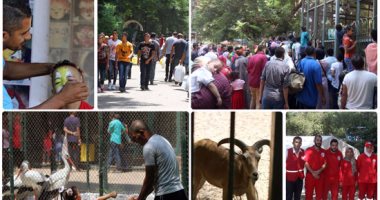 "الهلال الأحمر" يقدم نصائح طبية لجمهور حديقة الحيوان ويسعف 4 من الزوار