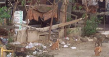 القمامة والكلاب الضالة تحاصر مدينة الفردوس بأكتوبر