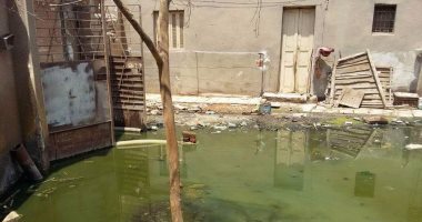 بدوى النويشى عن مشكلة الصرف الصحى ببنى سويف: لولا جهود المحافظ لغرقت قرى