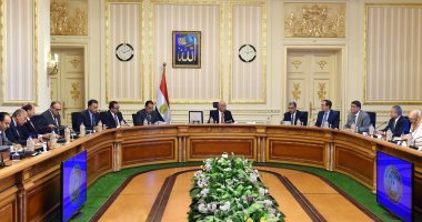 مجلس الوزراء ينقل أصول وخصوم محطات الخطة العاجلة إلى شركات "كهرباء مصر"