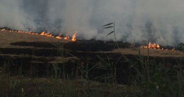 رئيس مدينة ميت أبو غالب بدمياط يحذر المزارعين من حرق قش الأرز