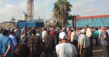 عمال مصنع الدلتا للسكر يعلقون إضرابهم عن العمل استجابة لمحافظ كفر الشيخ