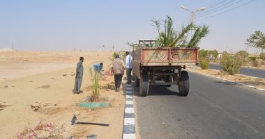 بالصور.. شئون البيئة بالخارجة تستكمل مبادرة المحافظ لزراعة أشجار النخيل