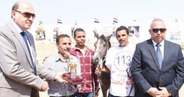محافظ الشرقية يوزع دروع التميز على الفائزين فى مسابقة مهرجان الخيول العربية