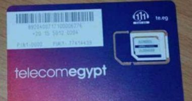 طوابير أمام فروع المصرية للاتصالات لشراء خط 015