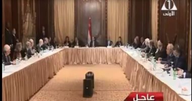 بالفيديو.. بدء اجتماع الرئيس السيسى وأعضاء مجلس الأعمال للتفاهم الدولى