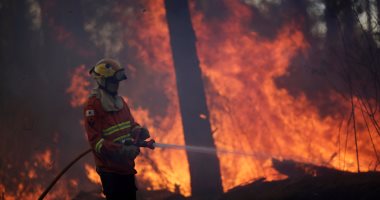 بالصور.. محاولات للسيطرة على حريق بالغابات الوطنية فى البرازيل