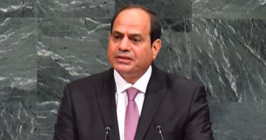 "حب الوطن": السيسى استطاع توضيح رؤية مصر وجهودها لدعم الأمن والسلم الدوليين
