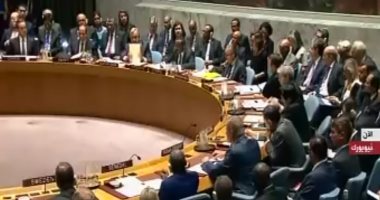 غينيا تنتظر دعم روسيا للتأهل لدخول مجلس الأمن الدولى