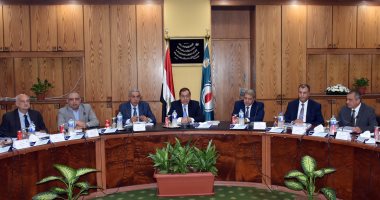 الهيئة المصرية للبترول: حققنا 41 كشفا جديدا خلال العام المالى 2016/ 2017
