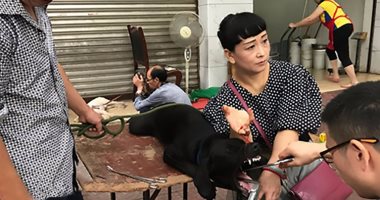 بالفيديو والصور.. الصين تحقق مع طبيب يجرى عمليات لإخراس الكلاب