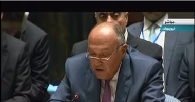 وزير الخارجية يدعو الأمم المتحدة لمناقشة دقيقة حول مخاطر الأسلحة النووية