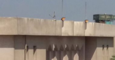 قارئ يرصد إضاءة أعمدة الإنارة نهارا بمدينة السلام