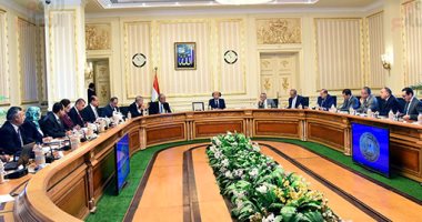 الحكومة توافق على تعيين استشارى لمساعدة "كهرباء مصر" فى إعداد التقارير المالية