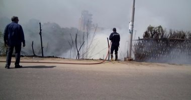 بالصور.. الدفع بـ3 سيارات إطفاء للسيطرة على حريق خلف مدرسة تجريبية بالقليوبية