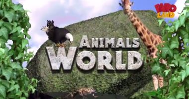 تعرف على طائر أبو منجل فى حلقة جديدة من برنامج "Animals World" على فارولاند