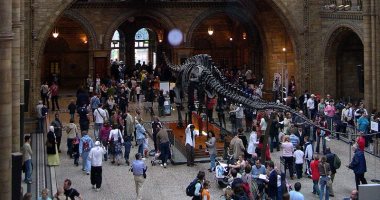 تعرف على متحف التاريخ الطبيعى بلندن.. يعرض هياكل الديناصورات والحوت الأزرق