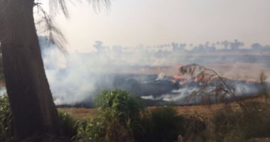 رئيس "شئون البيئة" بالدقهلية: حررنا 1166 محضرا ضد الفلاحين لحرق قش الأرز