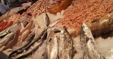 الثروة السمكية: إجراءات مشددة ضد مافيا الذريعة ببورسعيد