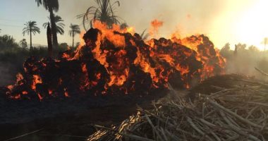 حريق يلتهم عددا من أراضي القصب خلال حرق المخلفات بمدينة إسنا