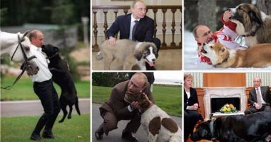 15 صورة تكشف عشق "بوتين" للكلاب.. الرئيس الروسى يُقبّل كلبا أهداه له رئيس تركمانستان فى عيد ميلاده الـ65.. يمتلك 4 أشهرها "كونى" المقيم فى الكرملين.. ورئيس وزراء اليابان يهديه واحدا بمناسبة فوزه بولاية ثانية