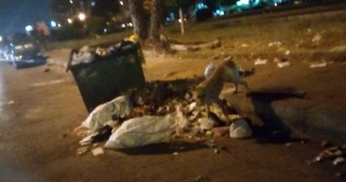 قارئ يشكو انتشار القمامة فى ميدان تريومف بمصر الجديدة