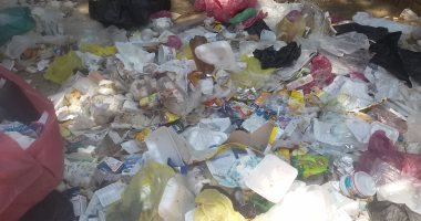 رئيس مدينة طنطا: رفع 3 آلاف طن مخلفات لمريدى مولد السيد البدوى