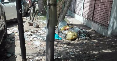 شكوى من انتشار القمامة فى شارع 210 بالمعادى ومطالب بتوفير صناديق لجمعها