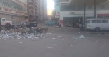قارئ يشكو تراكم القمامة فى ميدان الملكة بشارع العشرين بفيصل 