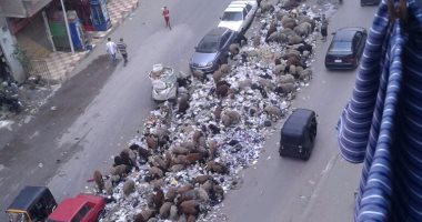رغم تنظيفها كل 3 أيام.. أكوام القمامة تغطى شارع بشتيل العمومى بالجيزة
