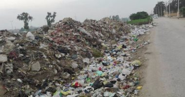 امسك مخالفة.. القمامة والحيوانات الضالة تحاصر مدرسة بالقليوبية