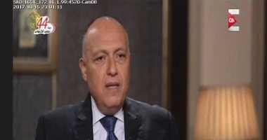 وزير الخارجية: لم نطالب بإغلاق "الجزيرة" واعتراضنا على المضمون ونشر العنف