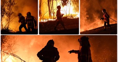39 قتيلا بسبب حرائق الغابات فى البرتغال وإسبانيا