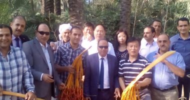 أمين "المصريين الأحرار" بالبحيرة يستقبل وفدا صينيا لتطوير زراعة النخيل