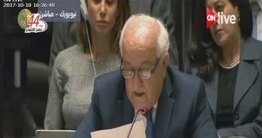 مندوب فلسطين بمجلس الأمن: الاحتلال المصدر الرئيسى للعنف بالمنطقة