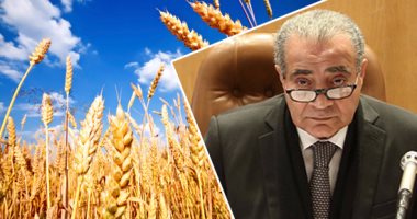 وزير التموين: مصر ستصدر القواعد الإرشادية لاستيراد القمح فى غضون أسبوعين