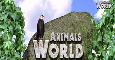اعرف معلومات أكتر عن "الترسة" فى حلقة جيدة من برنامج "world Animals" على فارولاند