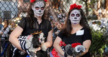 بالصور.. الكلاب تحتفل بعيد "الهالوين" فى نيويورك