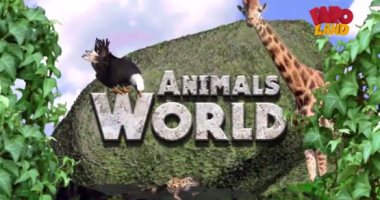 شاهد حكاية الطاووس فى حلقة جديدة من برنامج "Animals world" على فارولاند